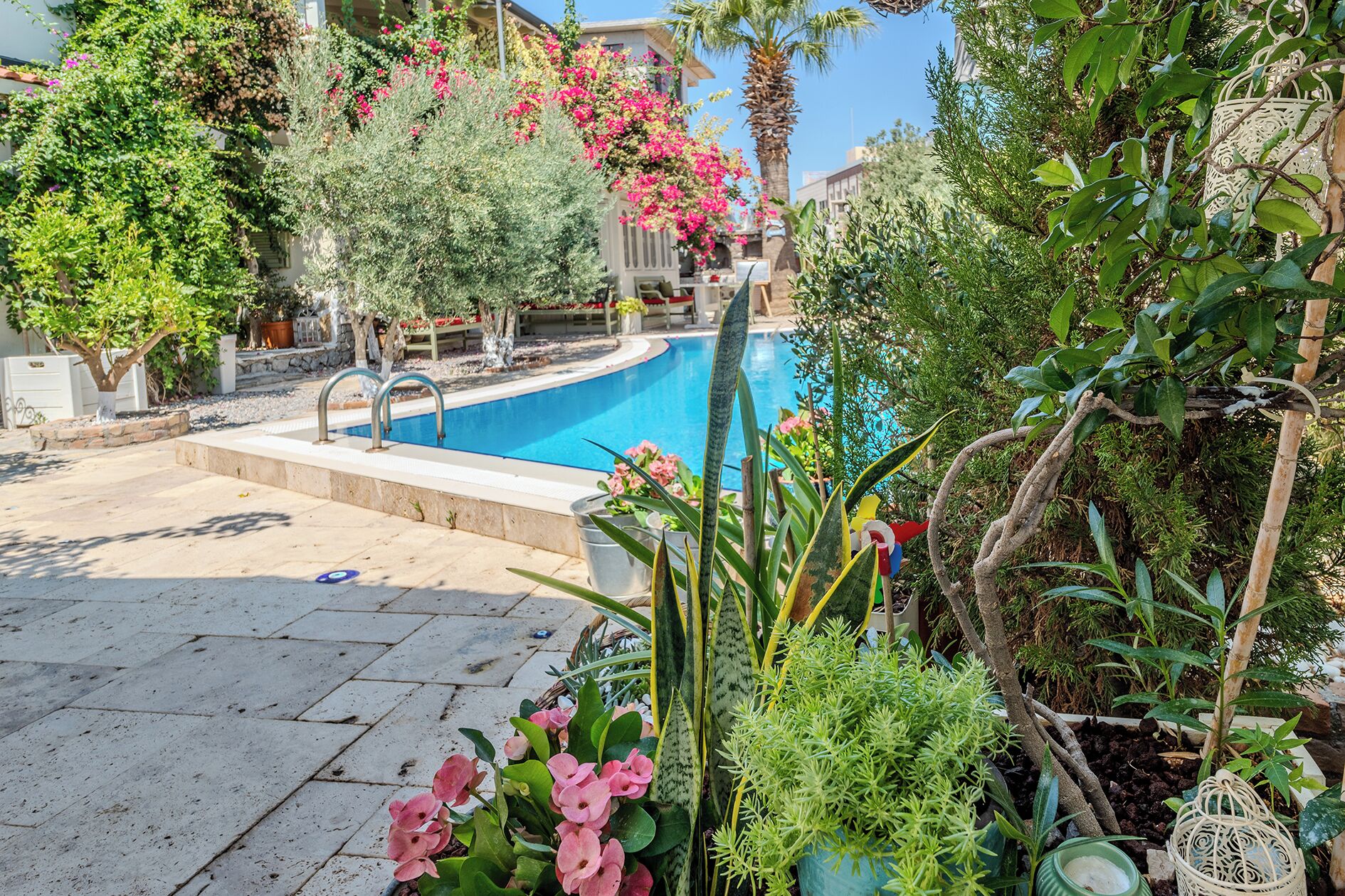 Une piscine entourée d’une végétation luxuriante et de plantes en fleurs.