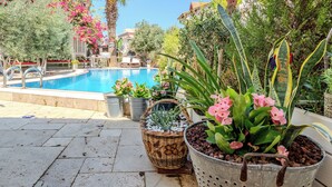 Ein Poolbereich mit Schwimmbecken, Topfpflanzen und Gartenmöbeln.