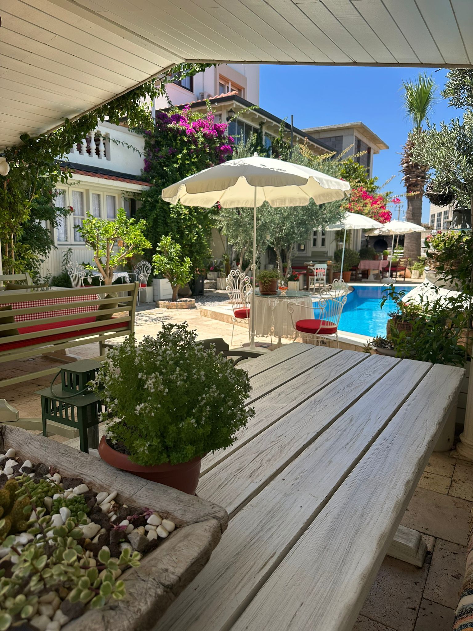 Un área de estar al aire libre con piscina, rodeada de plantas en macetas y sombrillas.