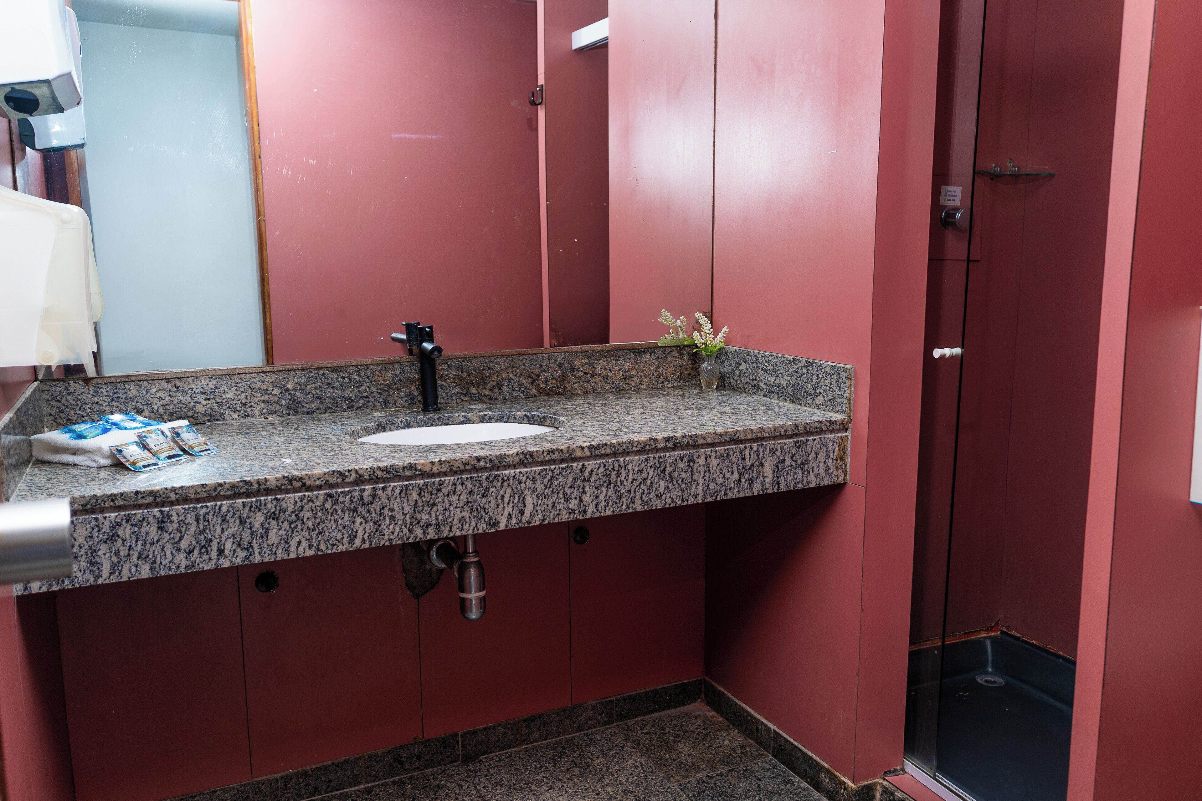 A bathroom with a granite countertop sink, a mirror, a vase with flowers, and a red wall.