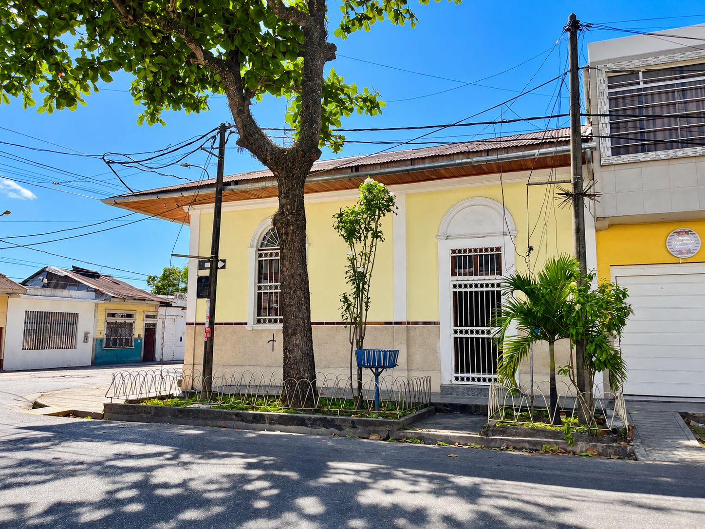 A building with a yellow facade, a large tree in front, and a metal fence.