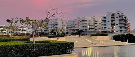 Une promenade en bord de mer avec une terrasse en bois, une étendue d’eau reflétant les lumières et, en arrière-plan, des immeubles résidentiels modernes.