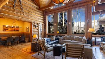 TV, fireplace, books, stereo