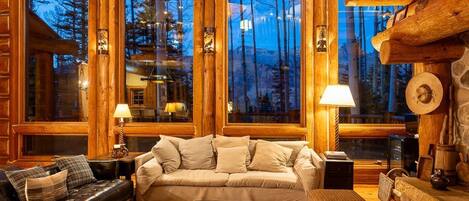 TV, fireplace, books, stereo