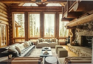 TV, fireplace, books, stereo