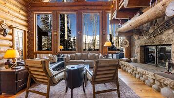 TV, fireplace, books, stereo