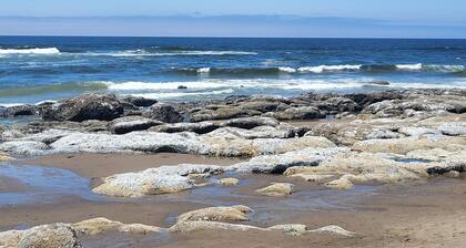 Hot tub-Fireplace-Walk to Beach-Firepit-Fenced Yard-Sleeps 8. Pet Friendly!