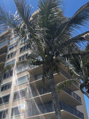 Exterior - Beachfront Bliss 2BR/2BA Ocean View Condo on North Hutchinson Island (Hutchison Island)