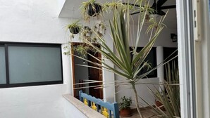 Ein Balkon mit Topfpflanzen und einem blauen Geländer.