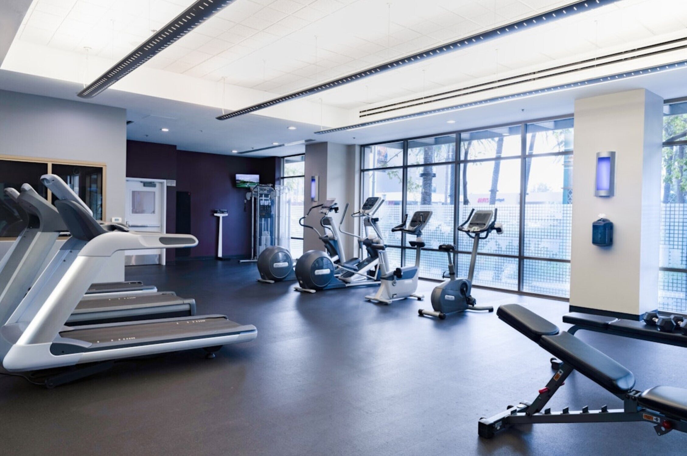 A gym with treadmills, elliptical machines, and a bench press area.