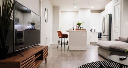 The Urban Nest is a luxury 1-bedroom apartment 30 minutes away from Houston, TX