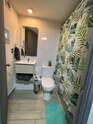 Assecador de cabells, sabó i paper higiènic 