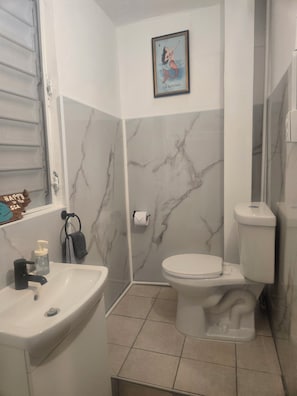 Shower, hair dryer, towels, soap