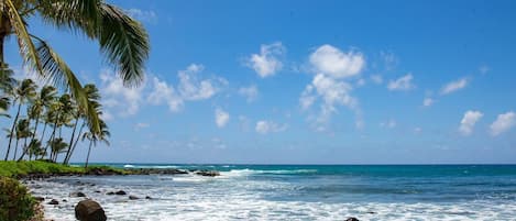Una playa cerca