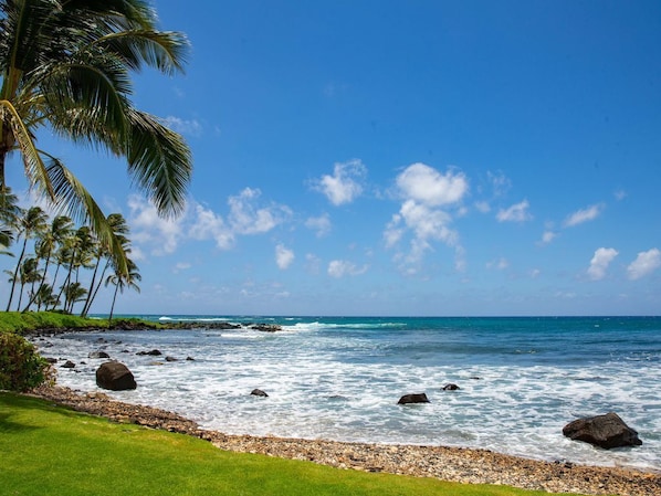 Plage à proximité