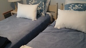 Twee eenpersoonsbedden met passend blauw beddengoed en witte kussens, een nachtkastje met een lamp, en een rood tapijt.