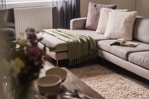 Smart-TV, Bücher