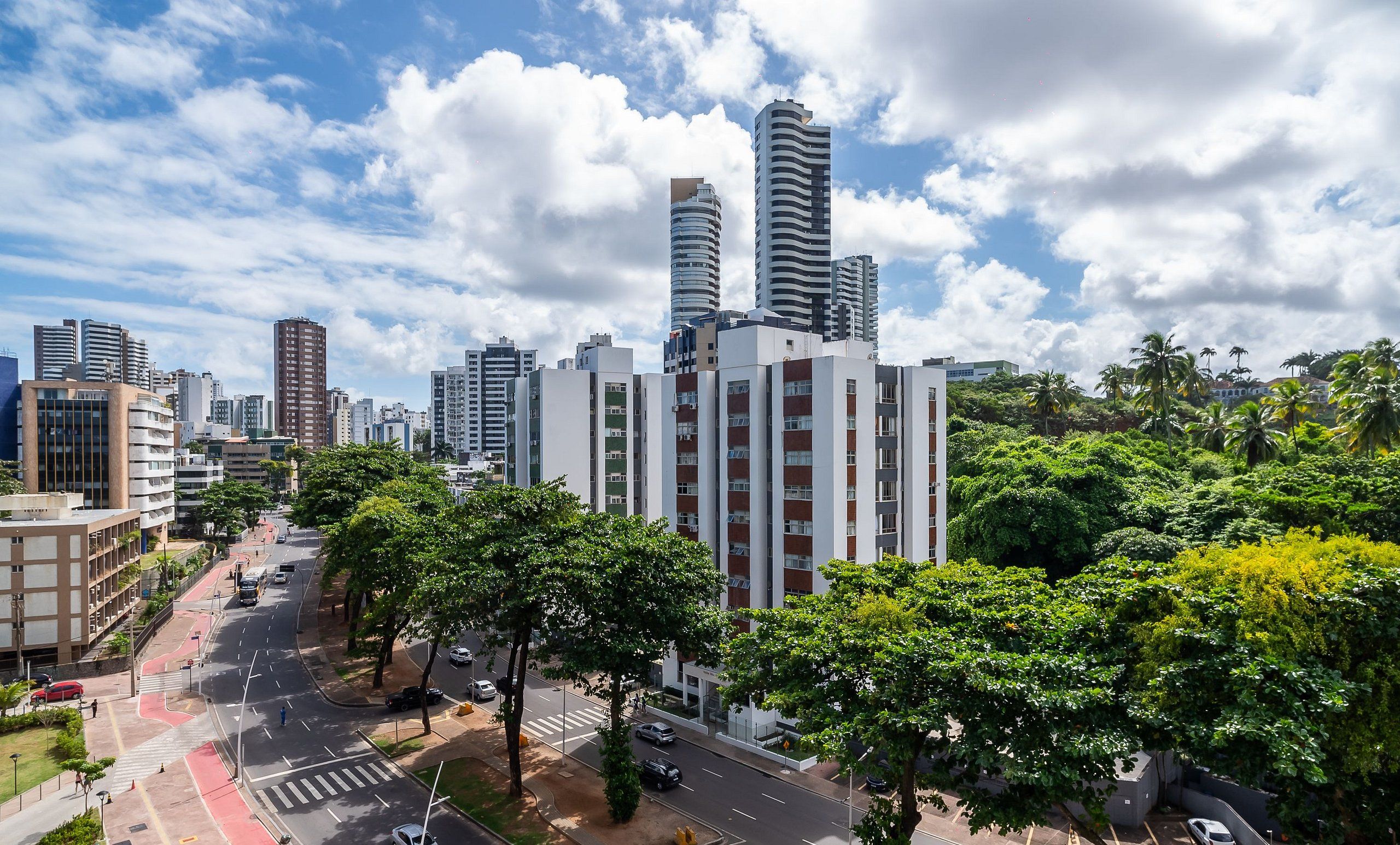 Un paisaje urbano con modernos edificios altos, cielo despejado y una calle bordeada de árboles.