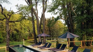 Ein Poolbereich mit Liegestühlen und Sonnenschirmen, umgeben von Bäumen.