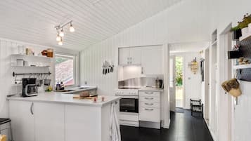 Fridge, stovetop, dishwasher, coffee/tea maker