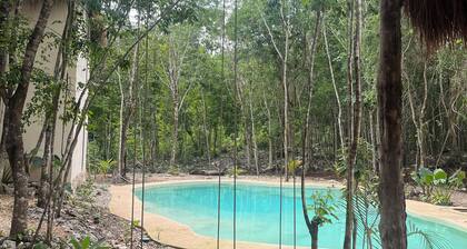 Cabins in the middle of the Mayan jungle in Tulum with cenote type pool