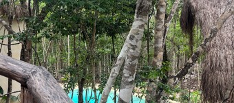 Cabins in the middle of the Mayan jungle in Tulum with cenote type pool