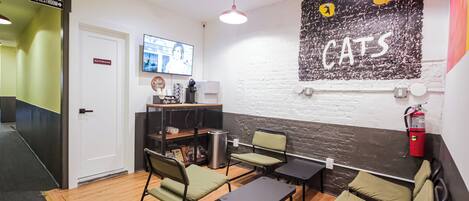 A modern interior with a 'BEASTROOM' sign, a 'CATS' mural, and a seating area with tables and chairs.