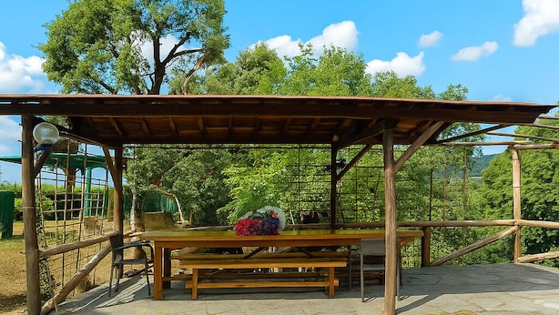 A wooden picnic shelter with benches and a table, surrounded by a grassy area and trees. - Casa Linda a window to the sea (Sant' Anna di Stazzema)