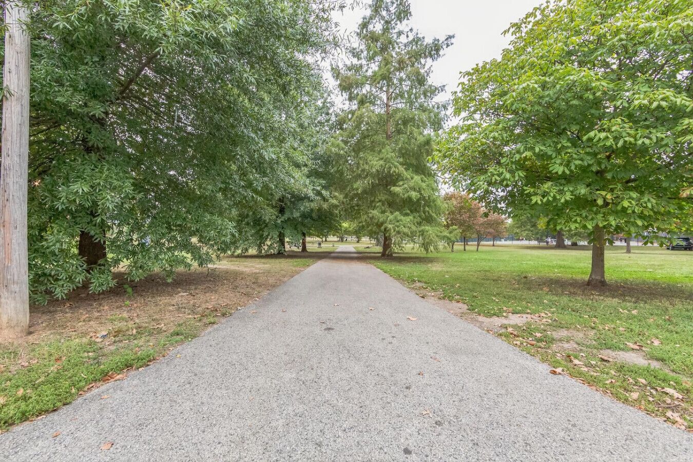 A paved pathway flanked by trees in a park setting.