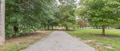 A paved pathway flanked by trees in a park setting.