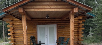 Newly listed modern studio Cabin Near Downtown Tok