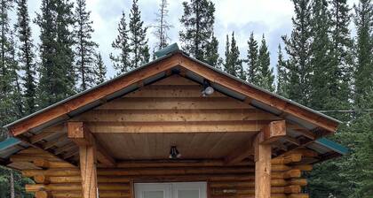 Newly listed modern 1-bedroom Cabin Near Downtown Tok