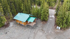 Exterior - Modern Studio Cabin Near Downtown Tok (Tok)