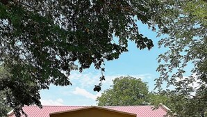A house with a swimming pool, a patio, and a lawn. - Chobe Oasis Guest House (Kasane)