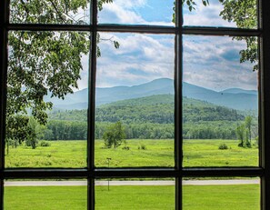 Une vue par la fenêtre sur un paysage verdoyant, avec des arbres et une montagne à l’horizon.