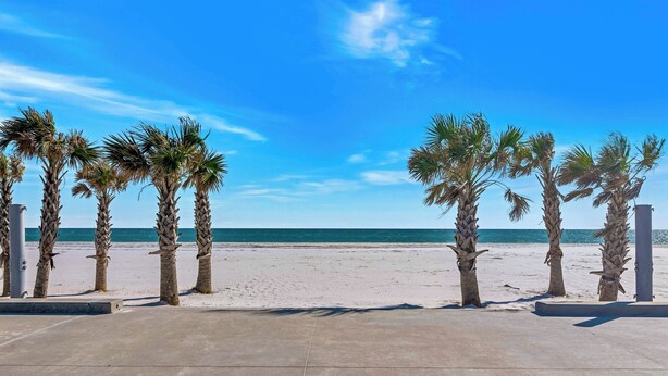 Una playa con palmeras y un cielo azul despejado.