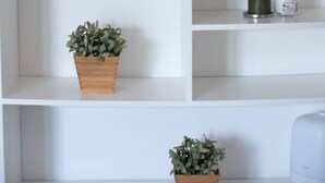 A white shelving unit with potted plants and a framed picture.