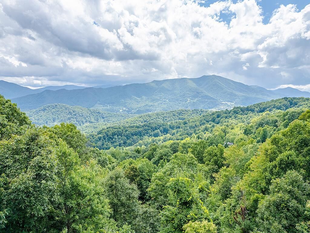 A mountainous landscape with dense forest coverage.