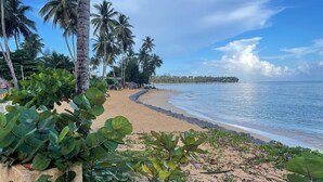 A beach with palm trees, a sandy shore, and a calm sea. - Charming 2-bedroom ocean front condo in wonderful Las Terrenas (LasTerrenas)