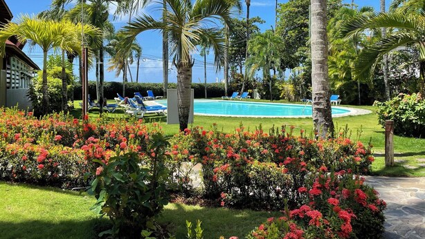 A pool area with lounge chairs, palm trees, and a clear sky. - Charming 2-bedroom ocean front condo in wonderful Las Terrenas (LasTerrenas)