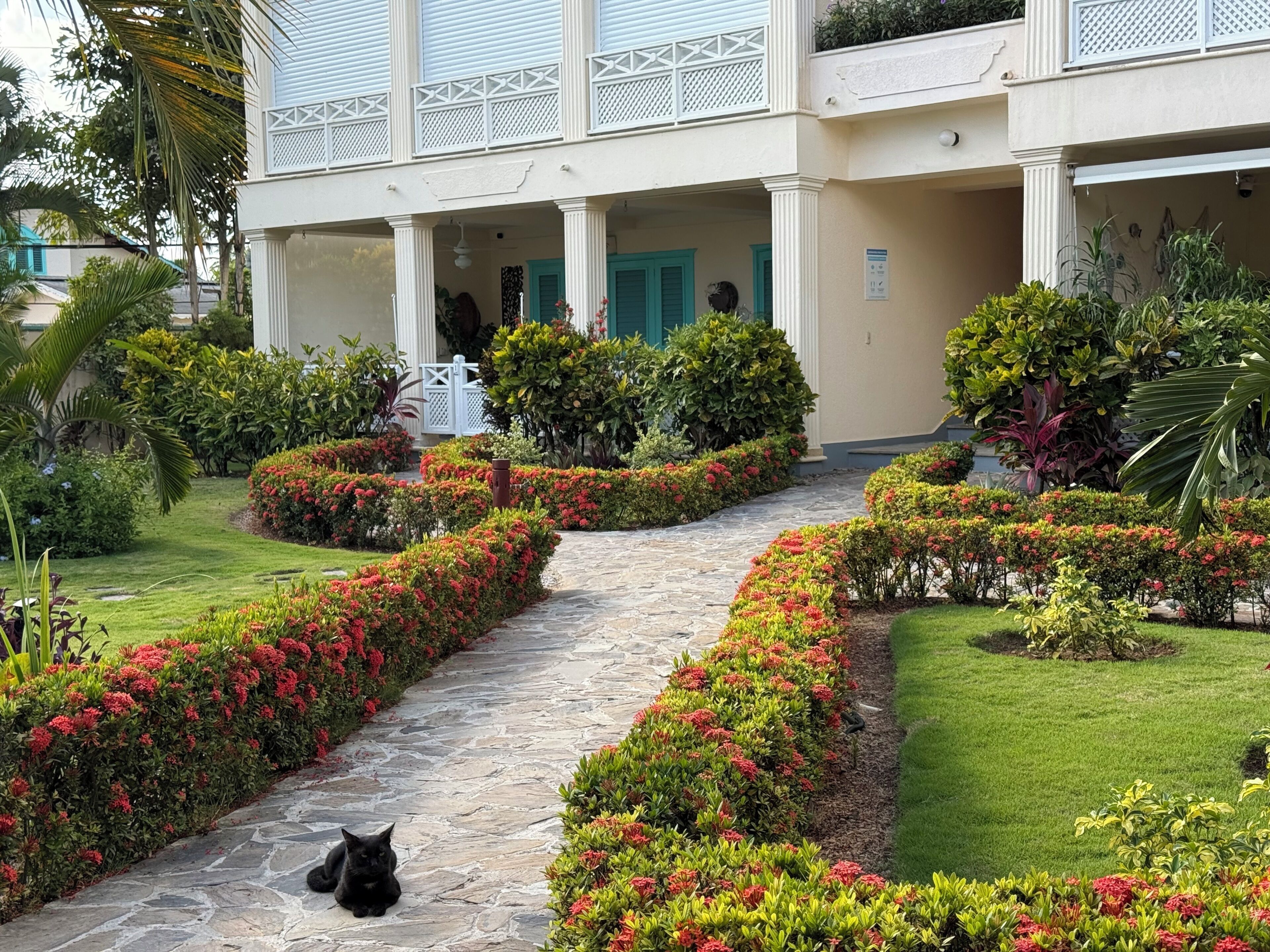 Un bâtiment avec un chemin de pierre menant à une porte verte, entouré de jardins bien entretenus et où un chat noir est allongé sur le chemin.