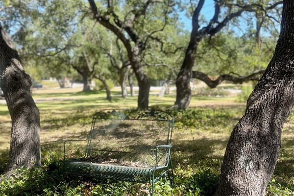 Find your quiet moment under the trees