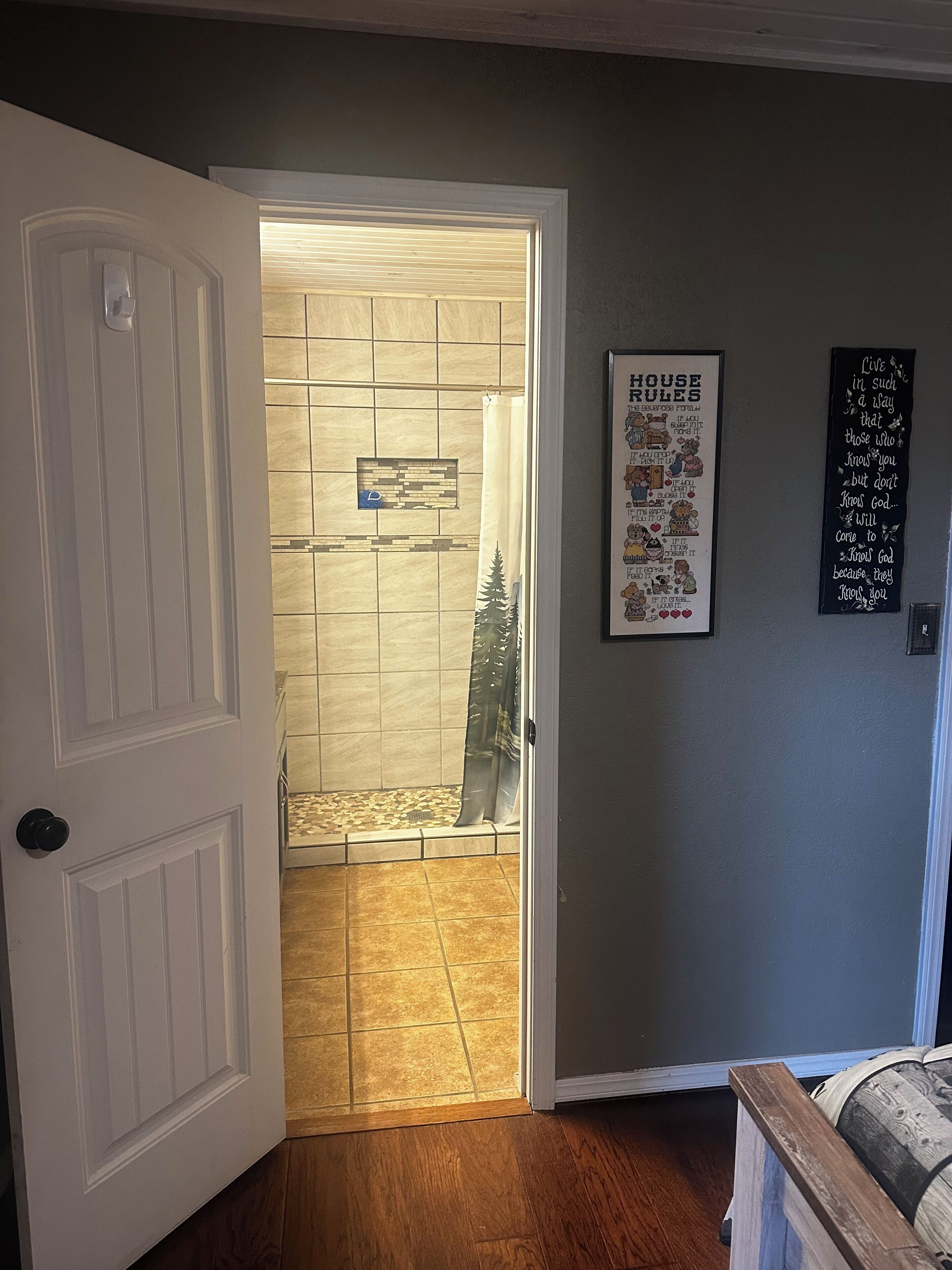 Een badkamer met een douche, een deur naar een andere kamer en een poster aan de muur.