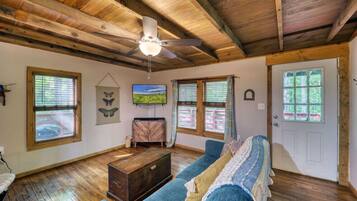 Smart TV, fireplace, books