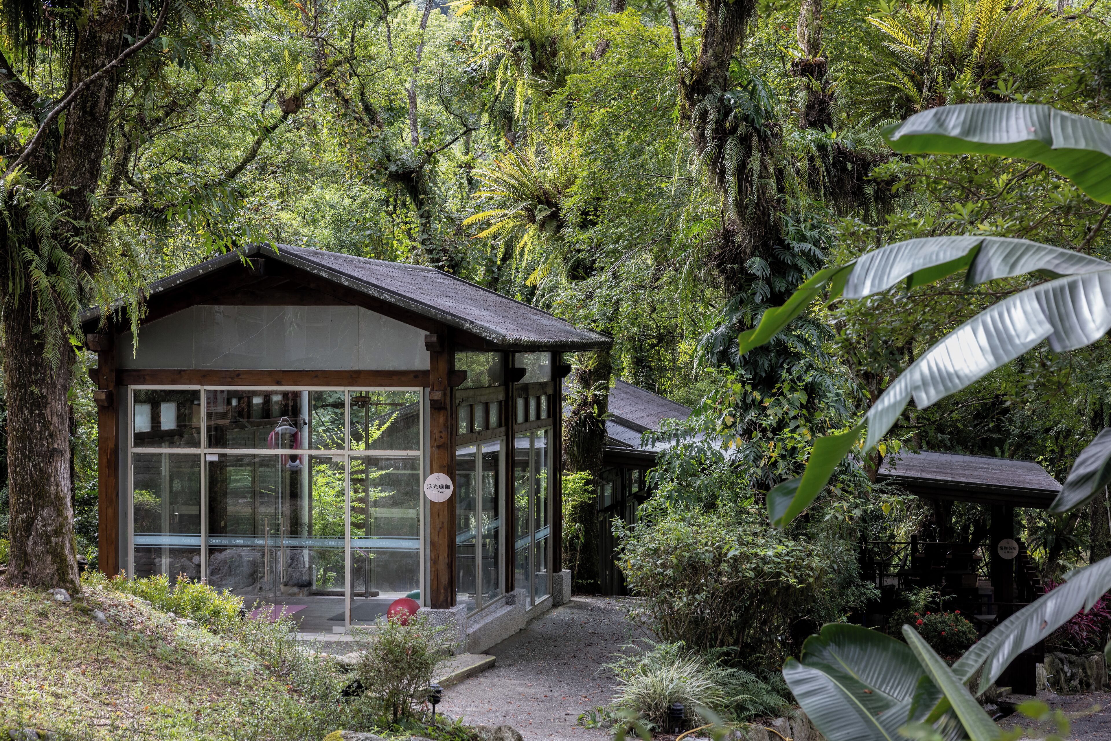 A glasshouse structure with a wooden roof, surrounded by dense tropical vegetation.