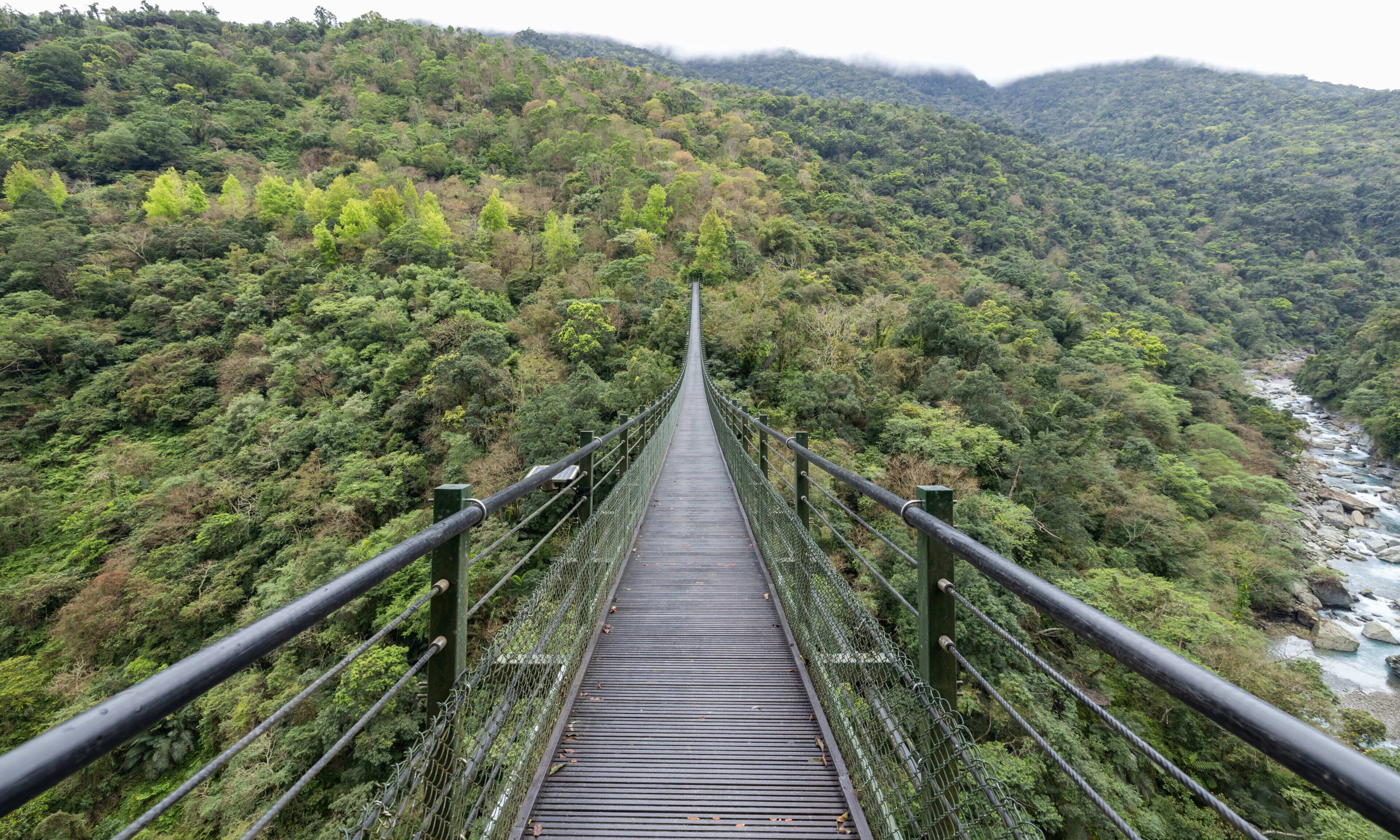 A suspension bridge in a forested area with a river below.