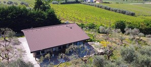 Una casa dal tetto in tegole rosse, circondata da un vigneto, con vialetto in ghiaia e vegetazione rada.