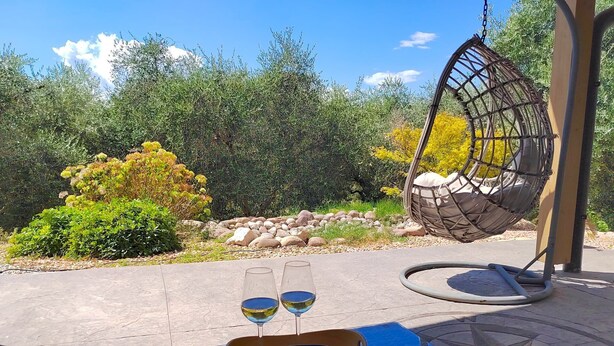 Un fauteuil suspendu, une table avec deux verres à vin et un saladier, et une piscine décorée d’une étoile de mer.