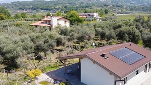 Une maison dotée d’un toit recouvert de panneaux solaires, entourée d’oliviers et de vignes.