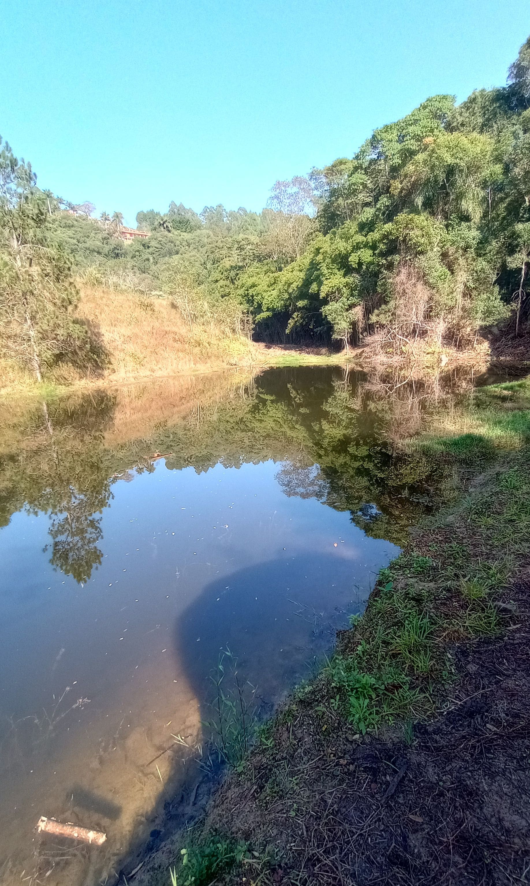 A natural landscape with a pond surrounded by trees and vegetation.